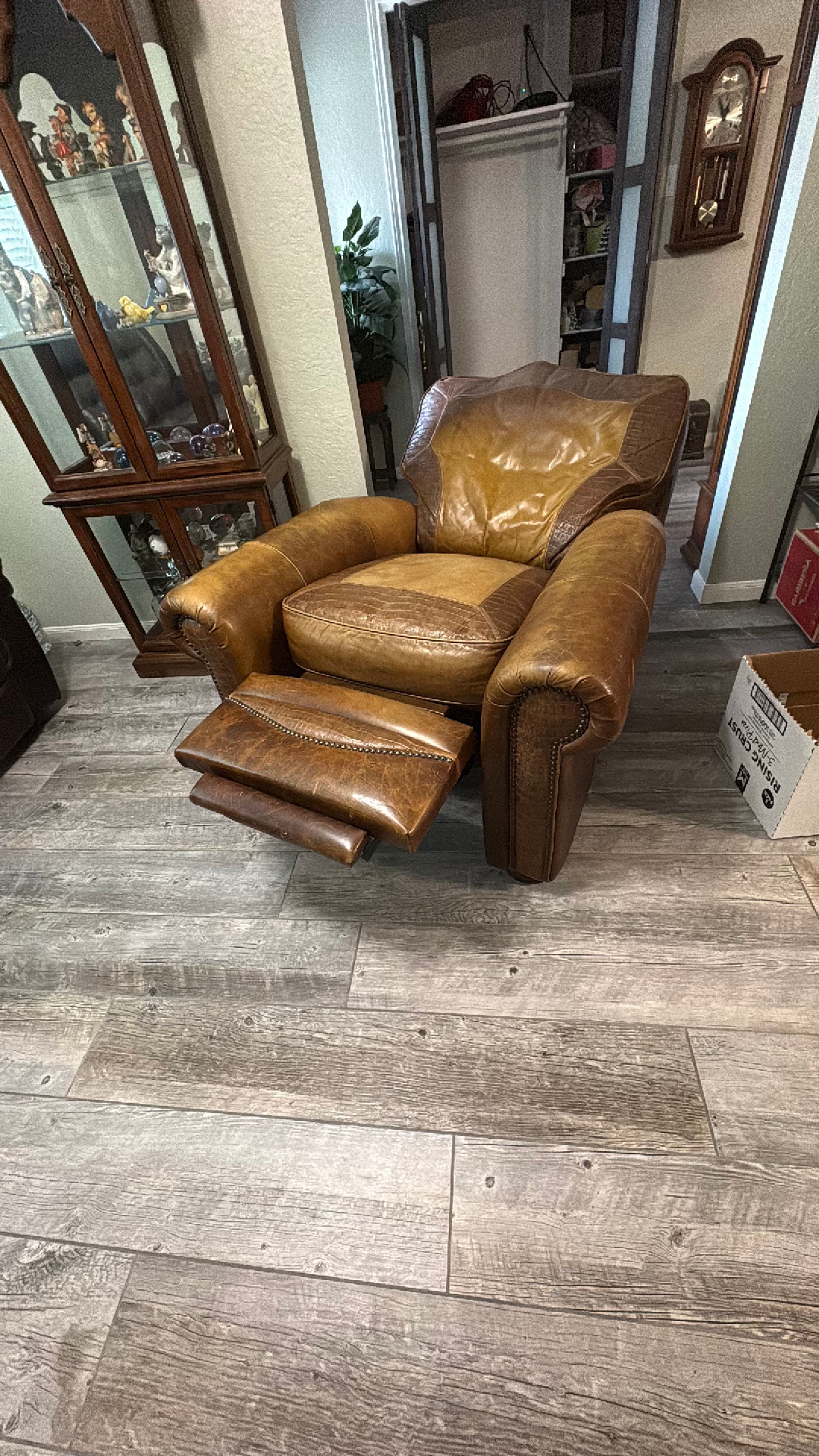 Dakota Bison Leather Recliner Chair - Image 4