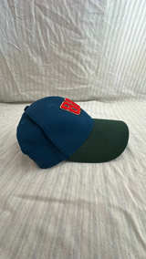 Dale Earnhardt Jr. #88 Signature Navy/Green Hat - Image 4