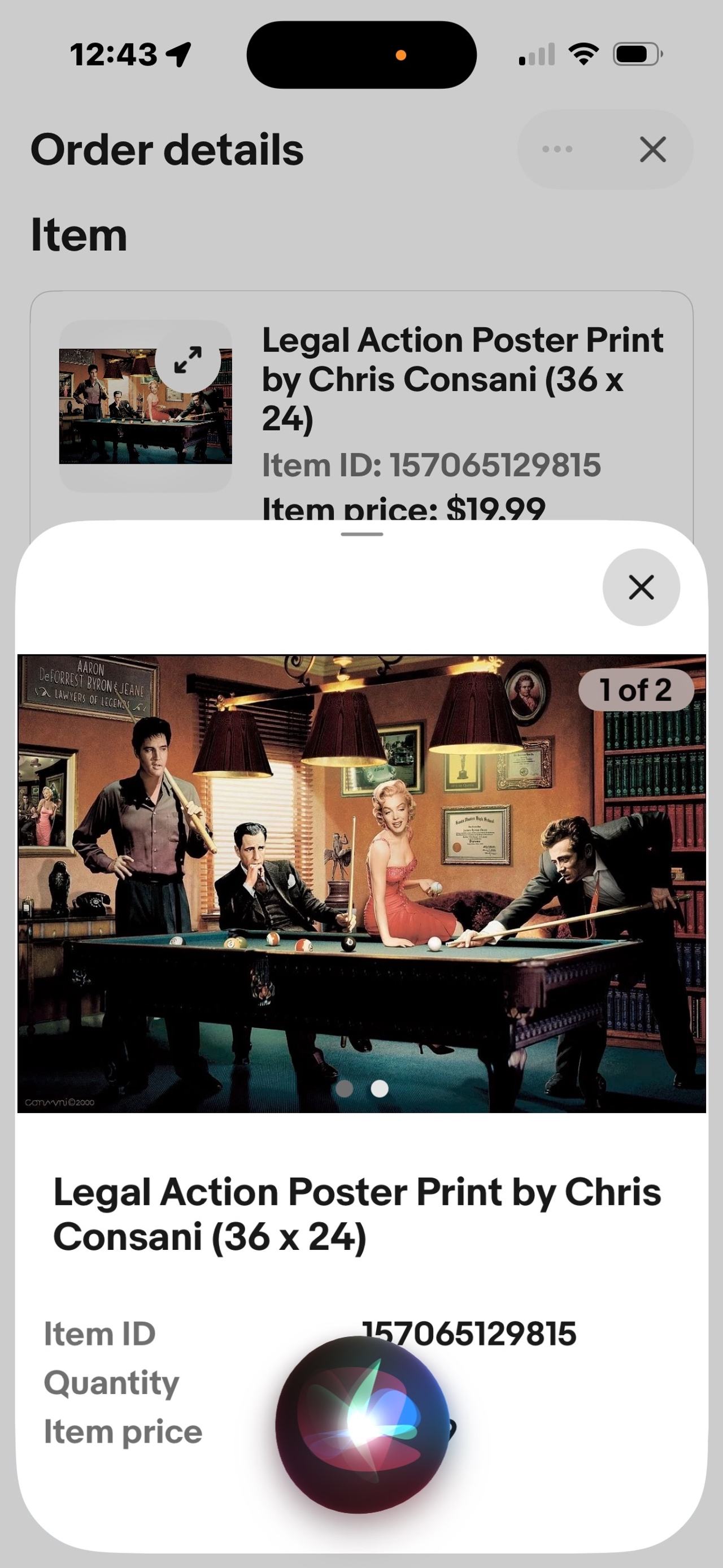 Legal Action Poster Print by Chris Consani (36 x 24)