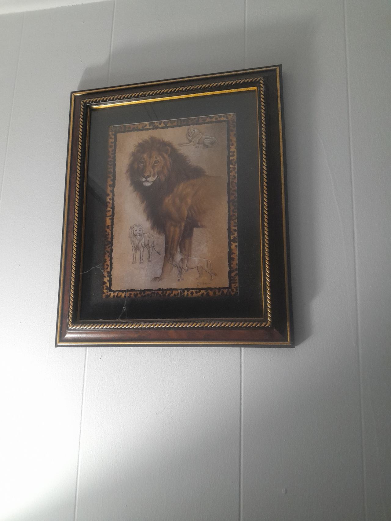 Framed Lion Wildlife Art Print with Leopard Border