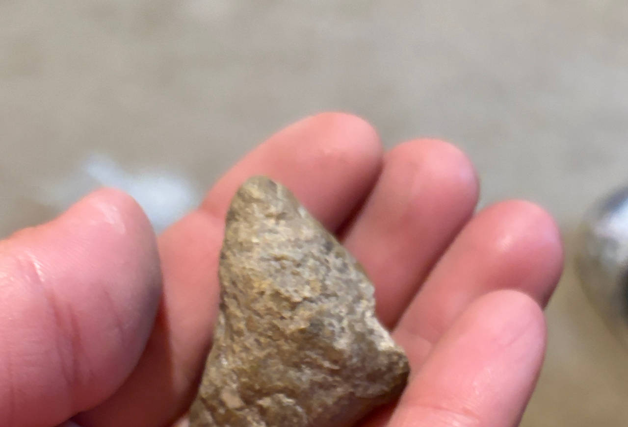 Stone Arrowhead Artifact
