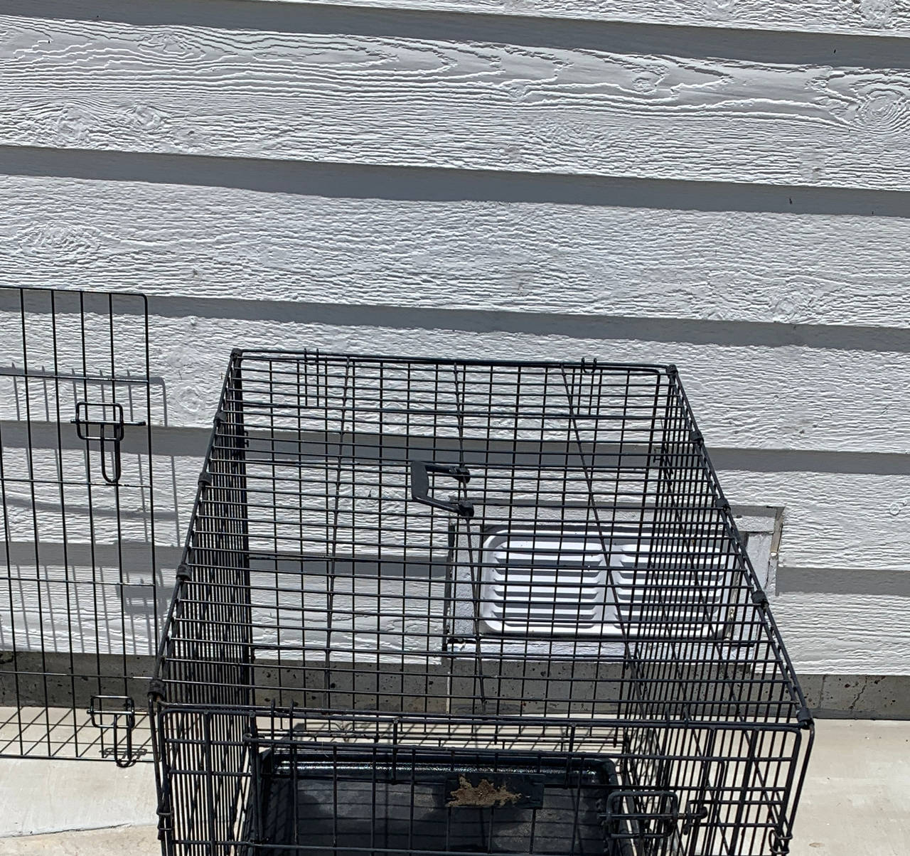 MidWest iCrate Folding Metal Dog Crate