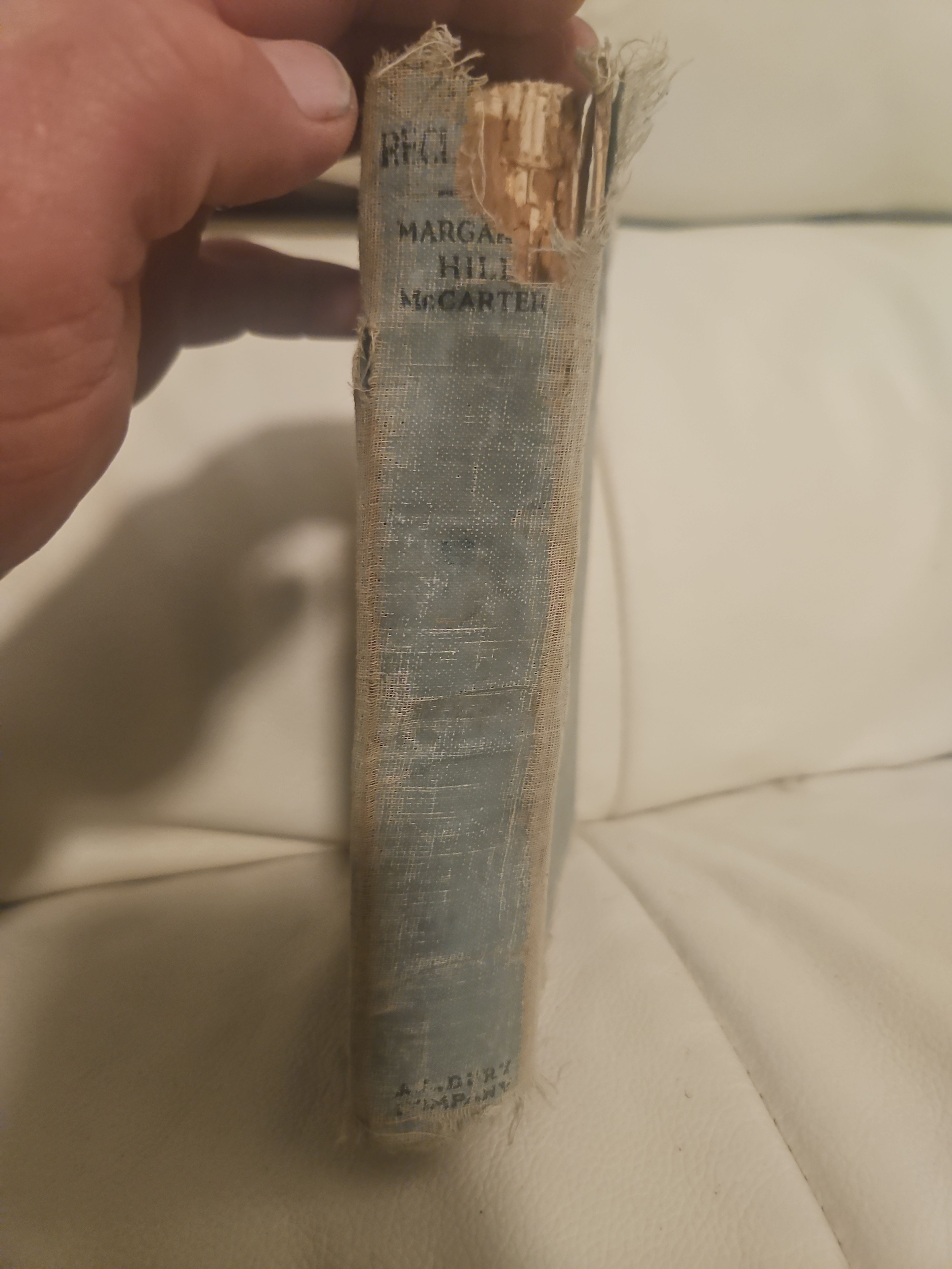 The Reclaimers by Margaret Hill McCarter - Image 3