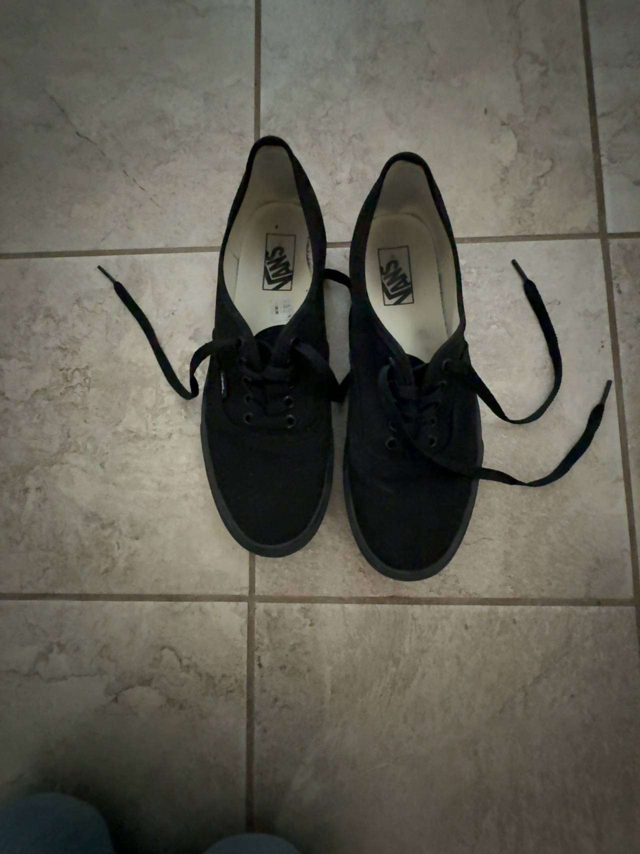 Vans Authentic Black Canvas Classic Shoe