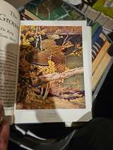 Outdoor Life's Gallery of North American Game - Image 1
