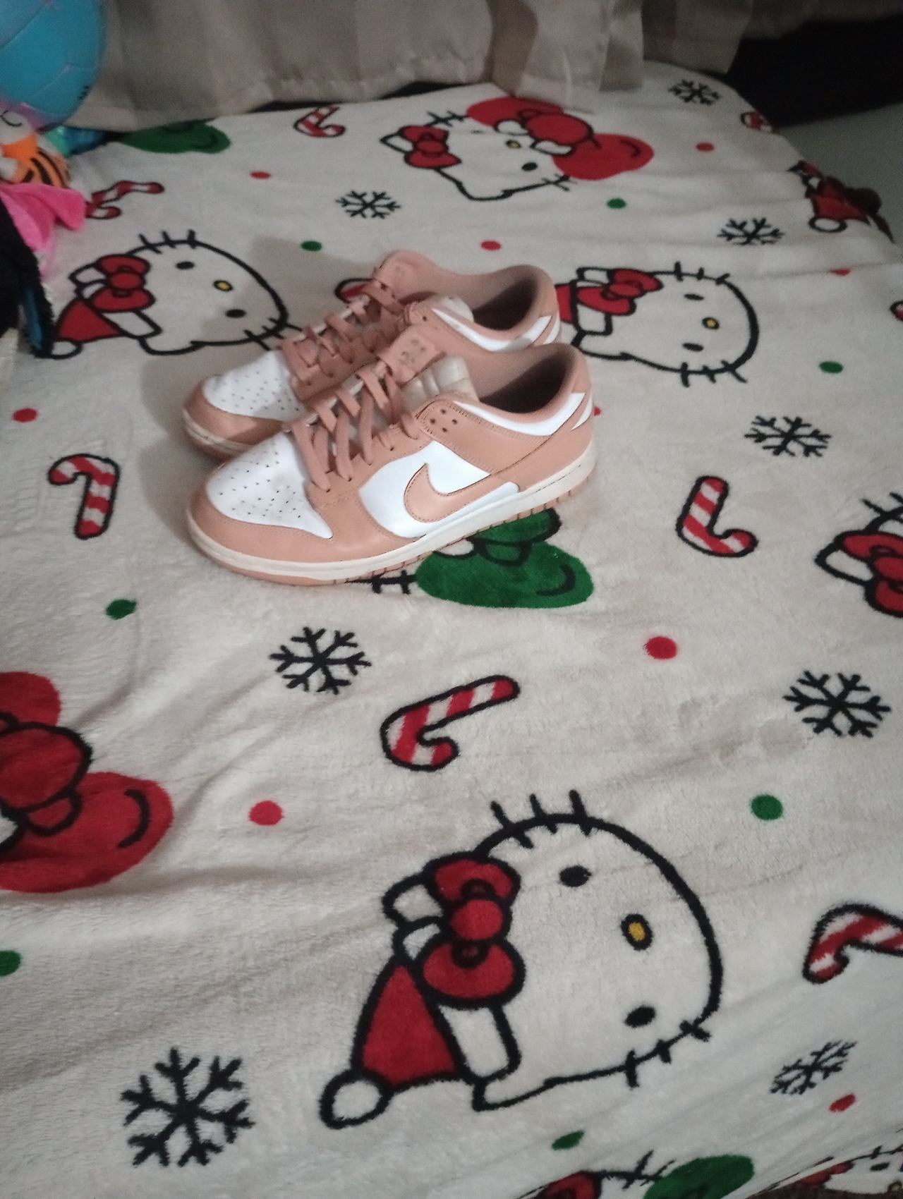 Nike Dunk Low Rose Whisper (W)