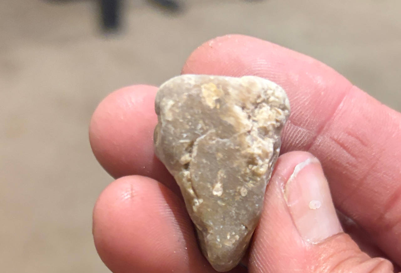 Possible Stone Tool or Projectile Point