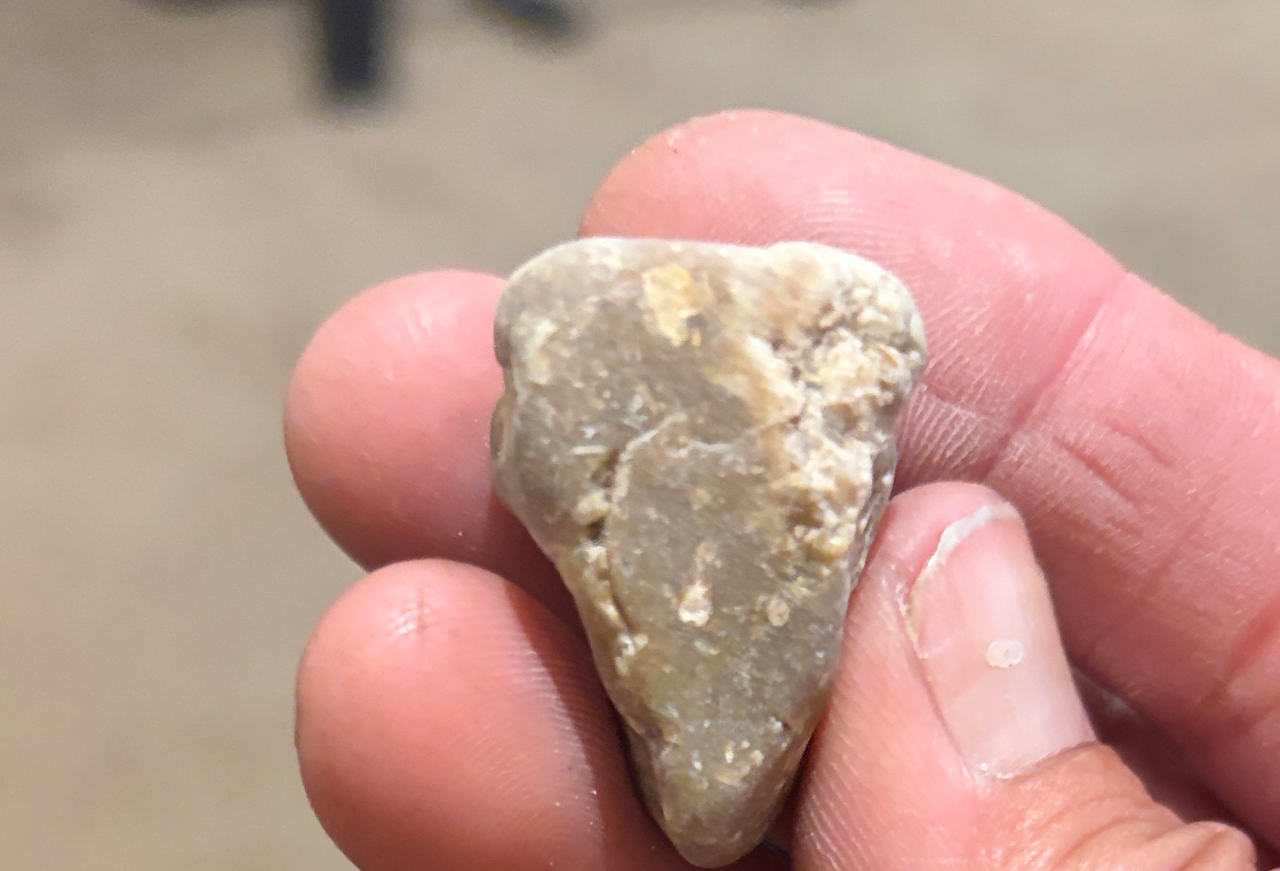 Possible Stone Tool or Projectile Point