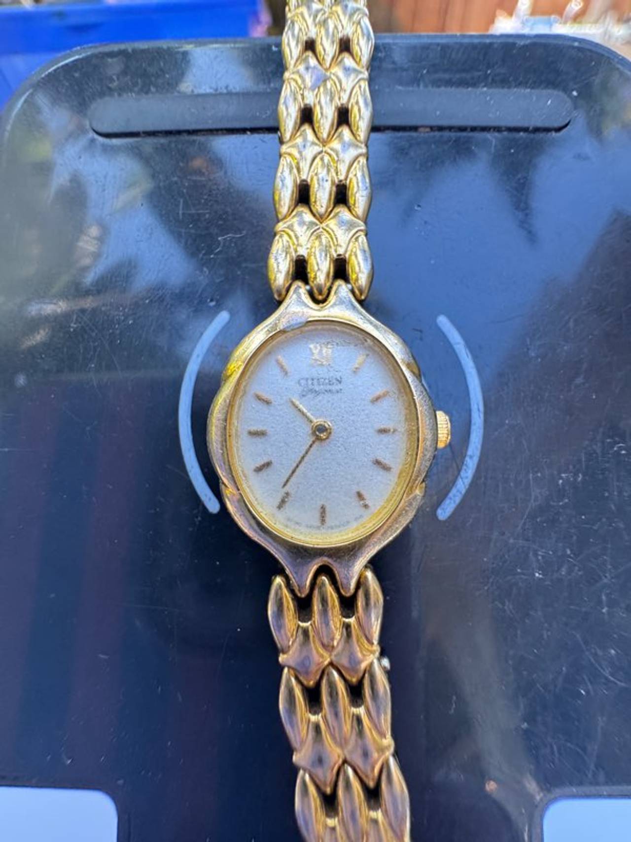 Citizen Women's Gold-Tone Watch