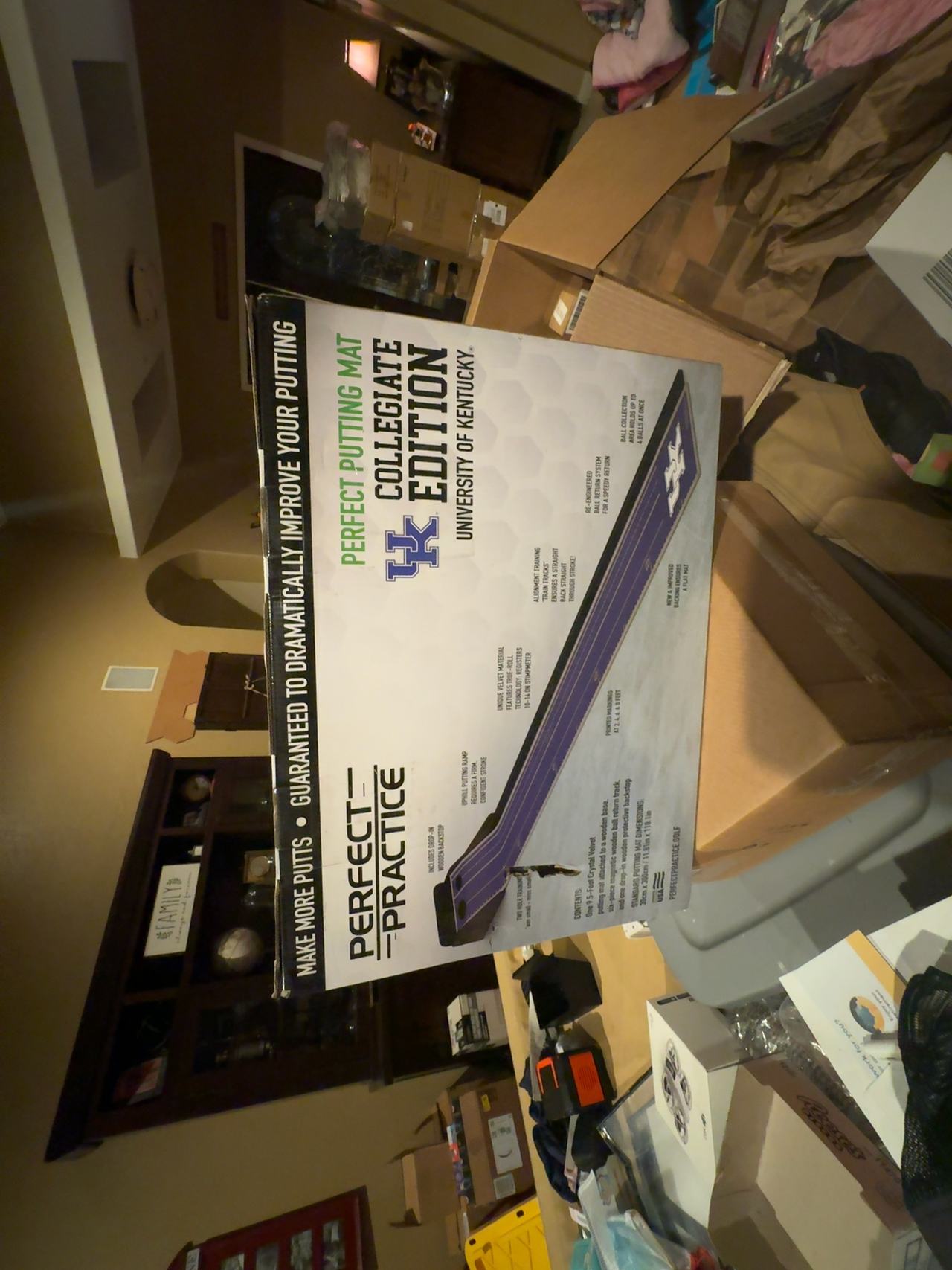 Perfect Practice Golf Putting Mat 9.5ft Portable