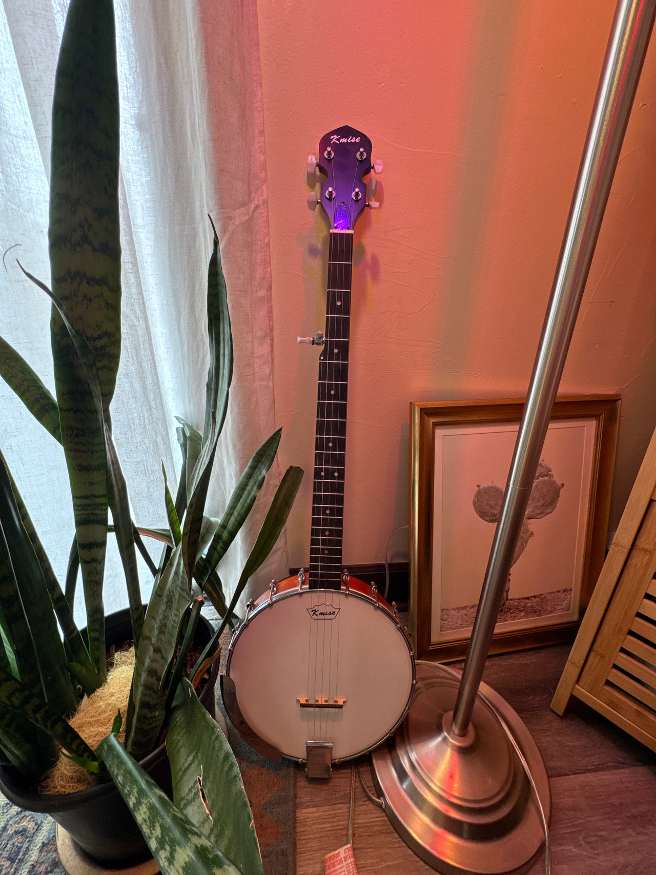 Banjo