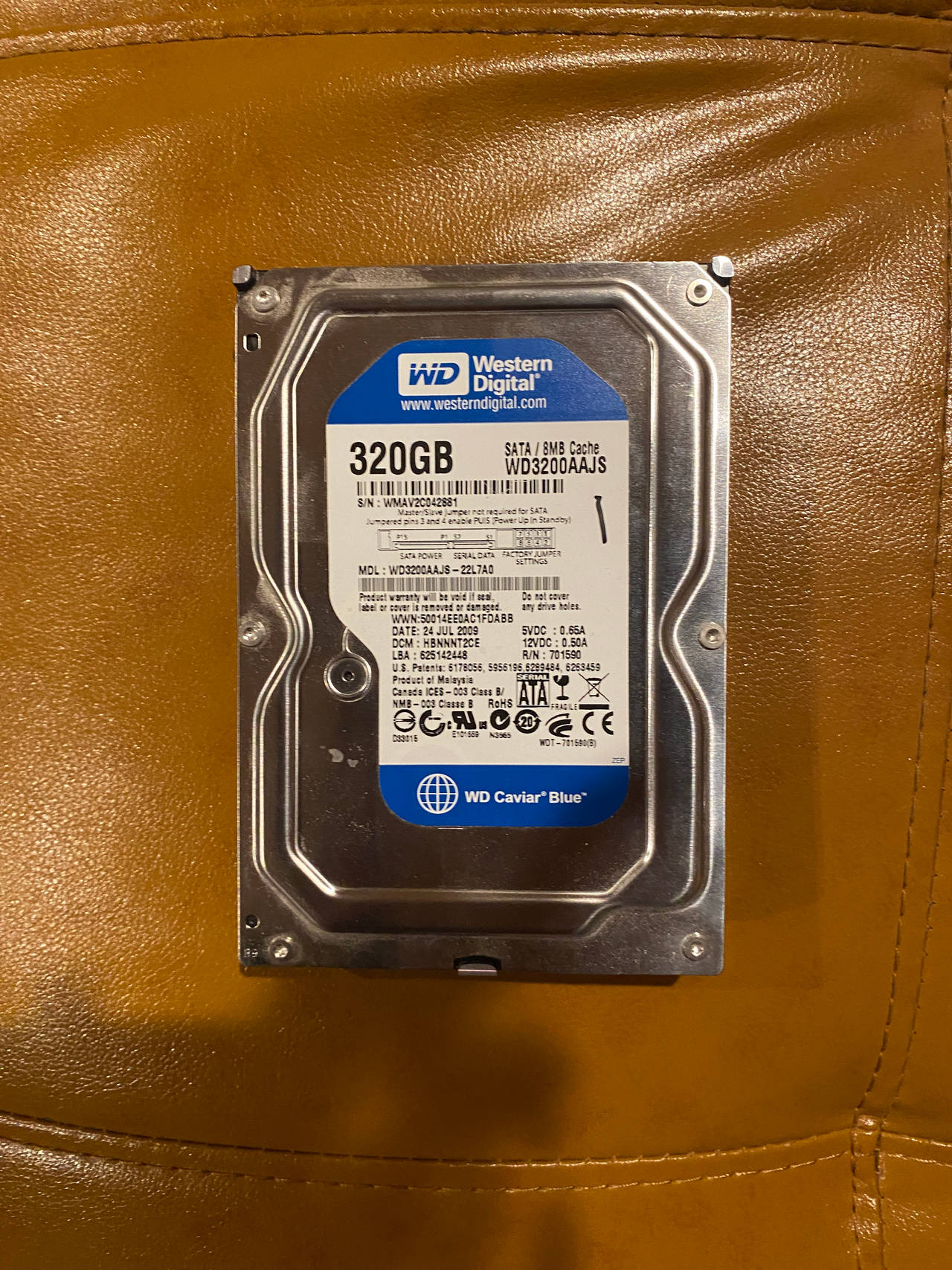Western Digital Caviar Blue 320GB Hard Drive