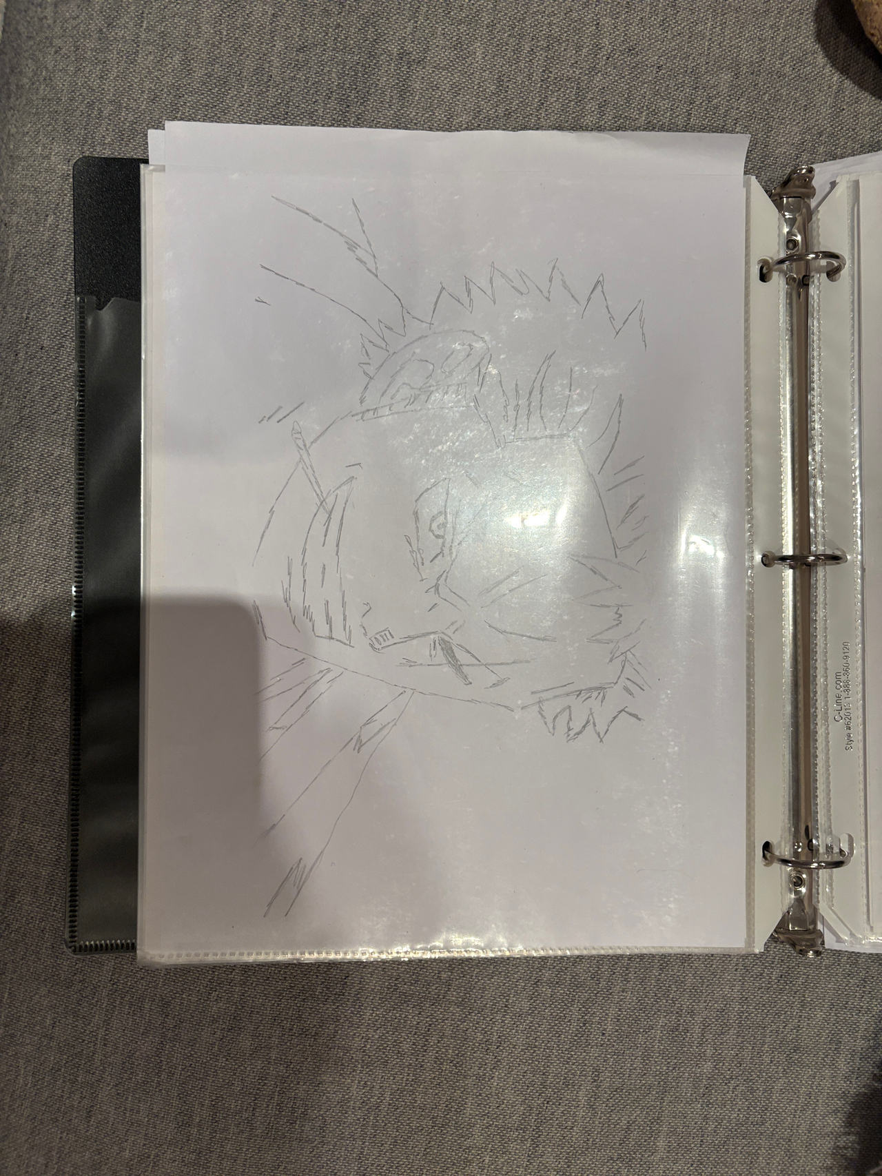 Hand drawn Rorona Zoro