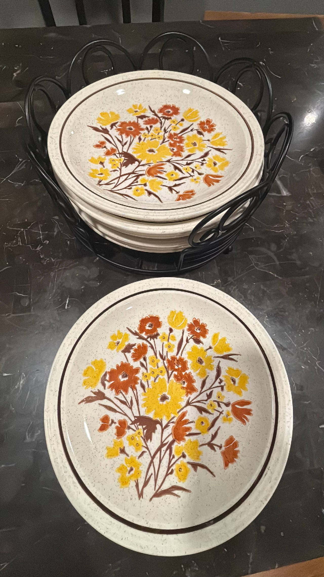 Homer Laughlin Vintage Hard to Find NEW PARADISE Six (8) Dinner Plates 