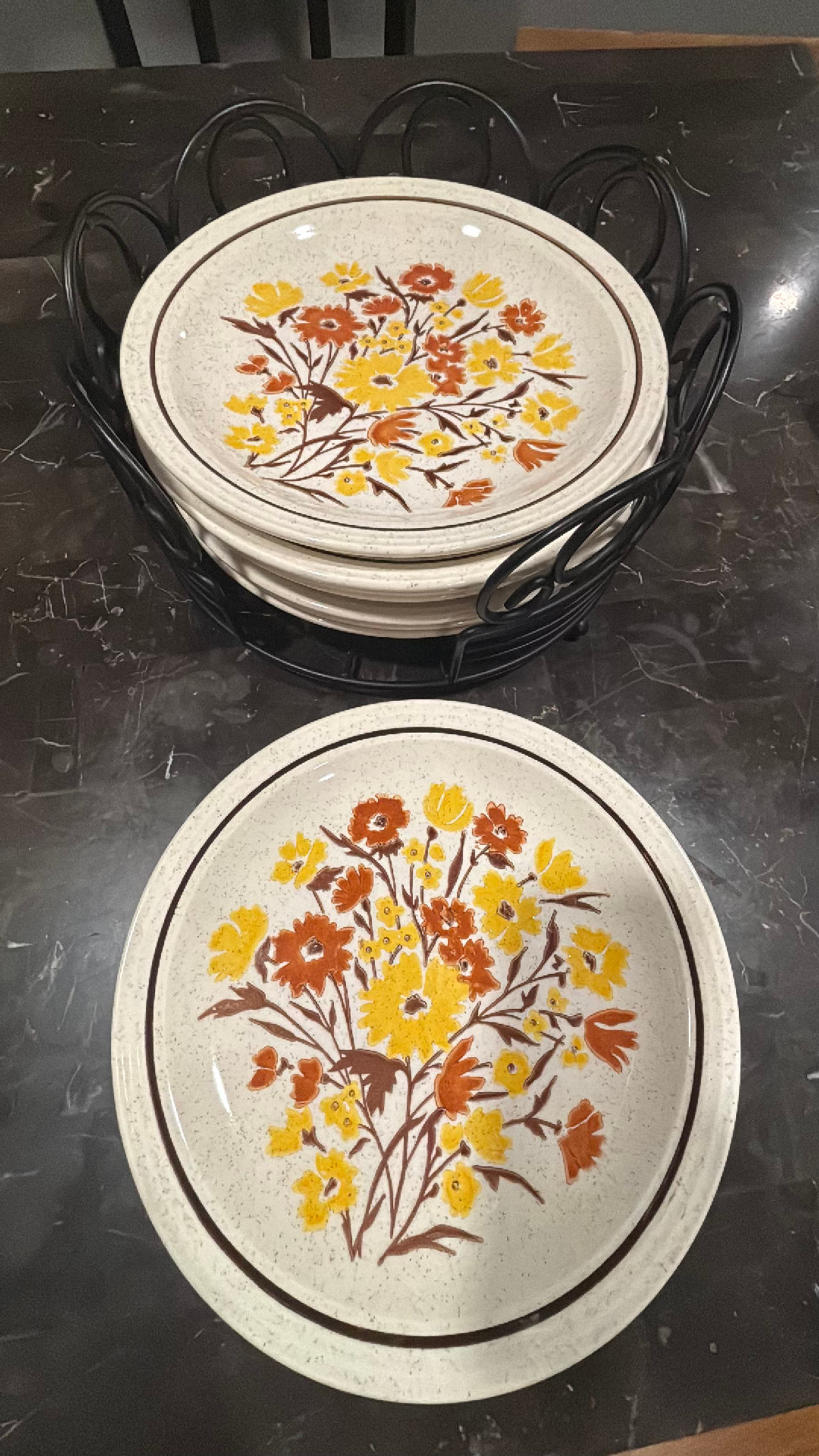 Homer Laughlin Vintage Hard to Find NEW PARADISE Six (8) Dinner Plates 