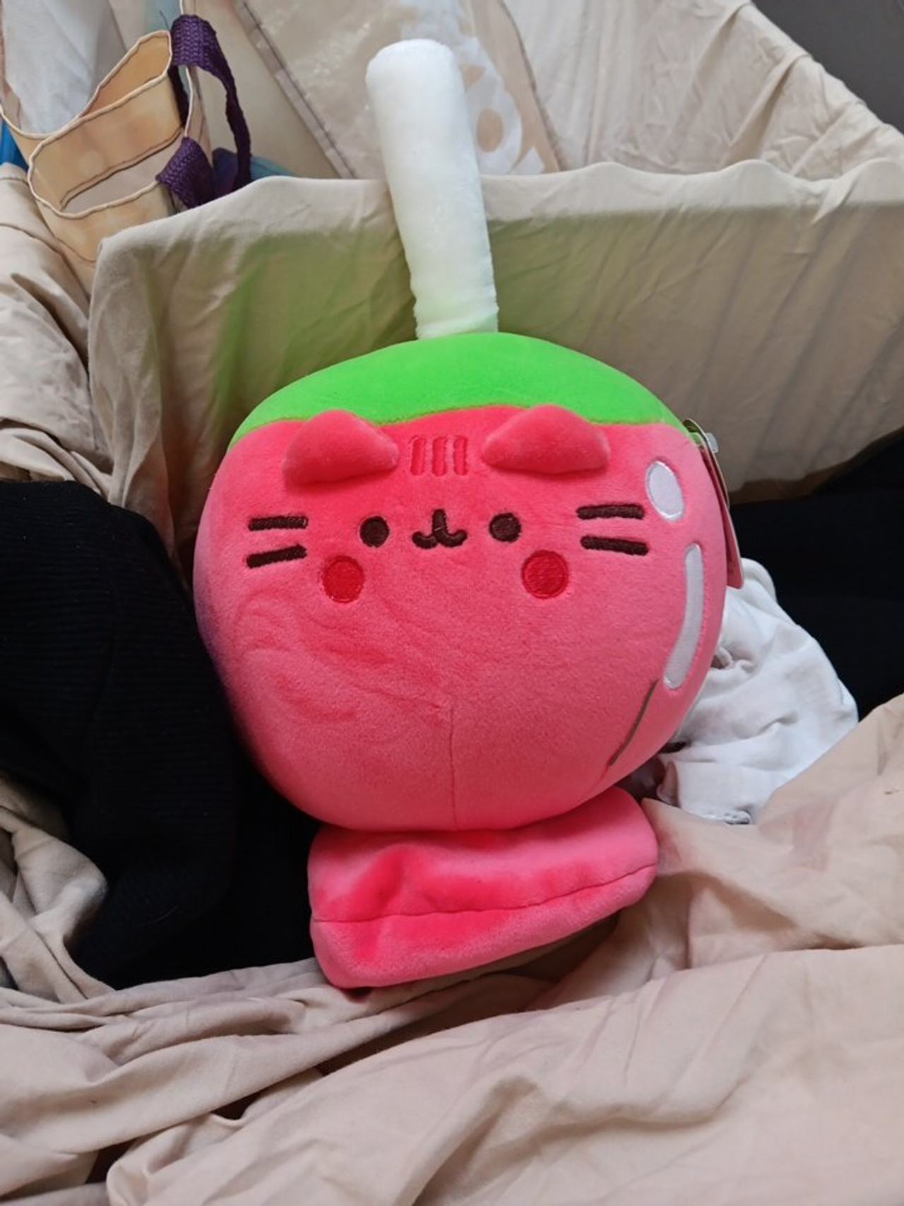 Pusheen Sips Watermelon Juice Squisheen Plush