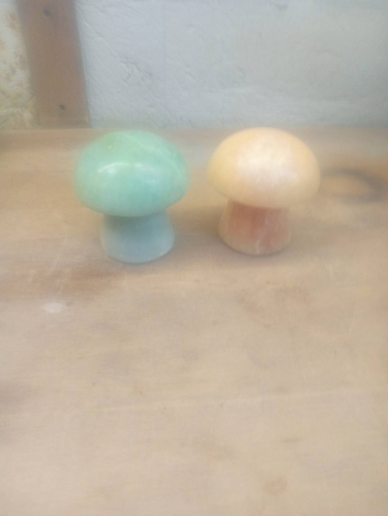 Polished Stone Mushroom Figurines