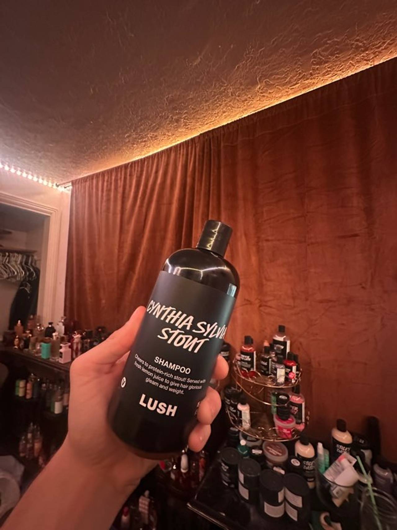 Lush RARE Cynthia Sylvia Stout Shampoo