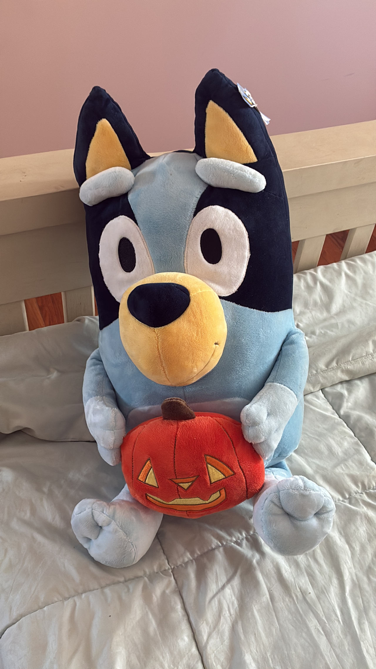 Bluey Halloween Plush with Pumpkin