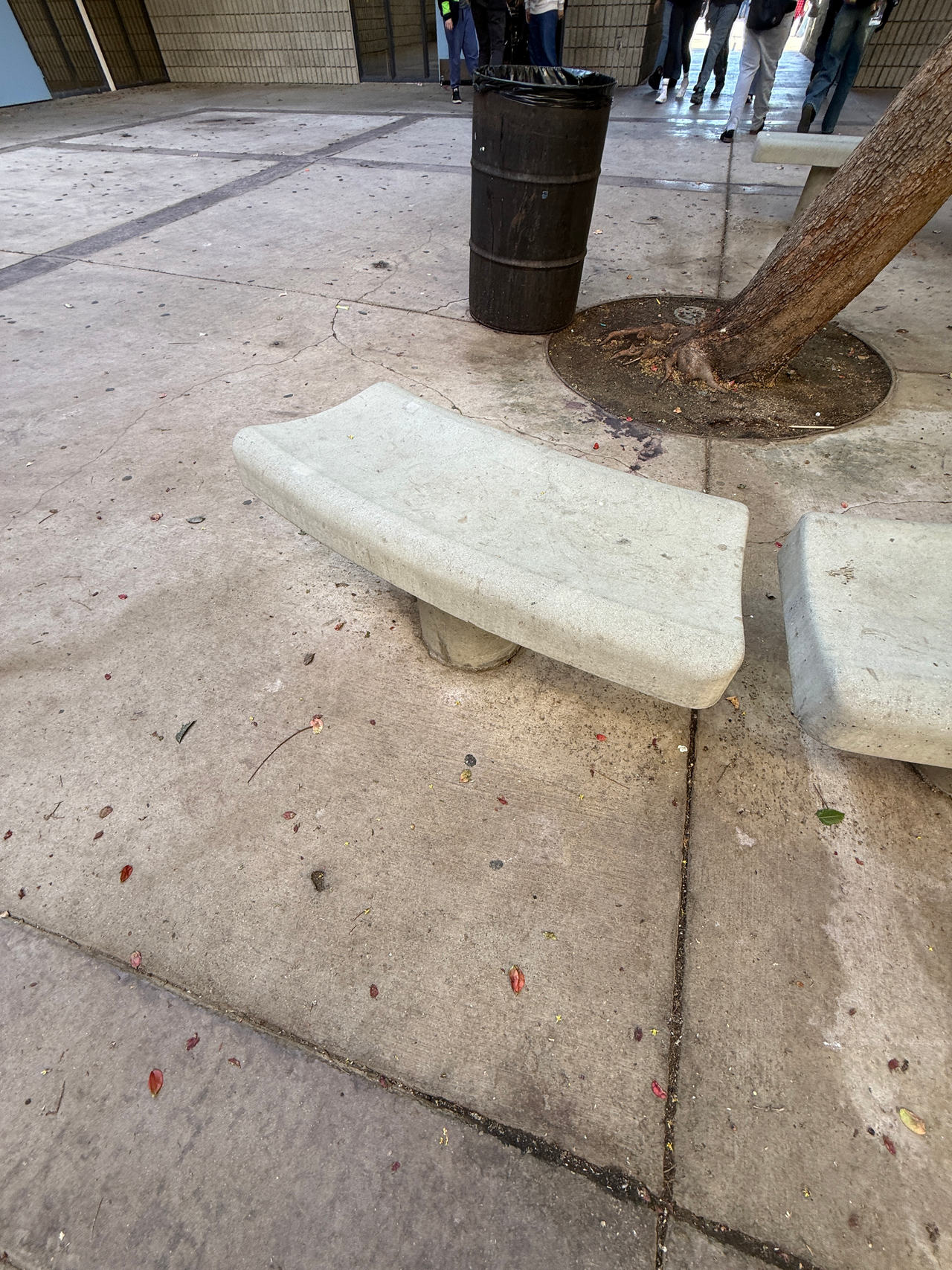 Curved Concrete Outdoor Bench