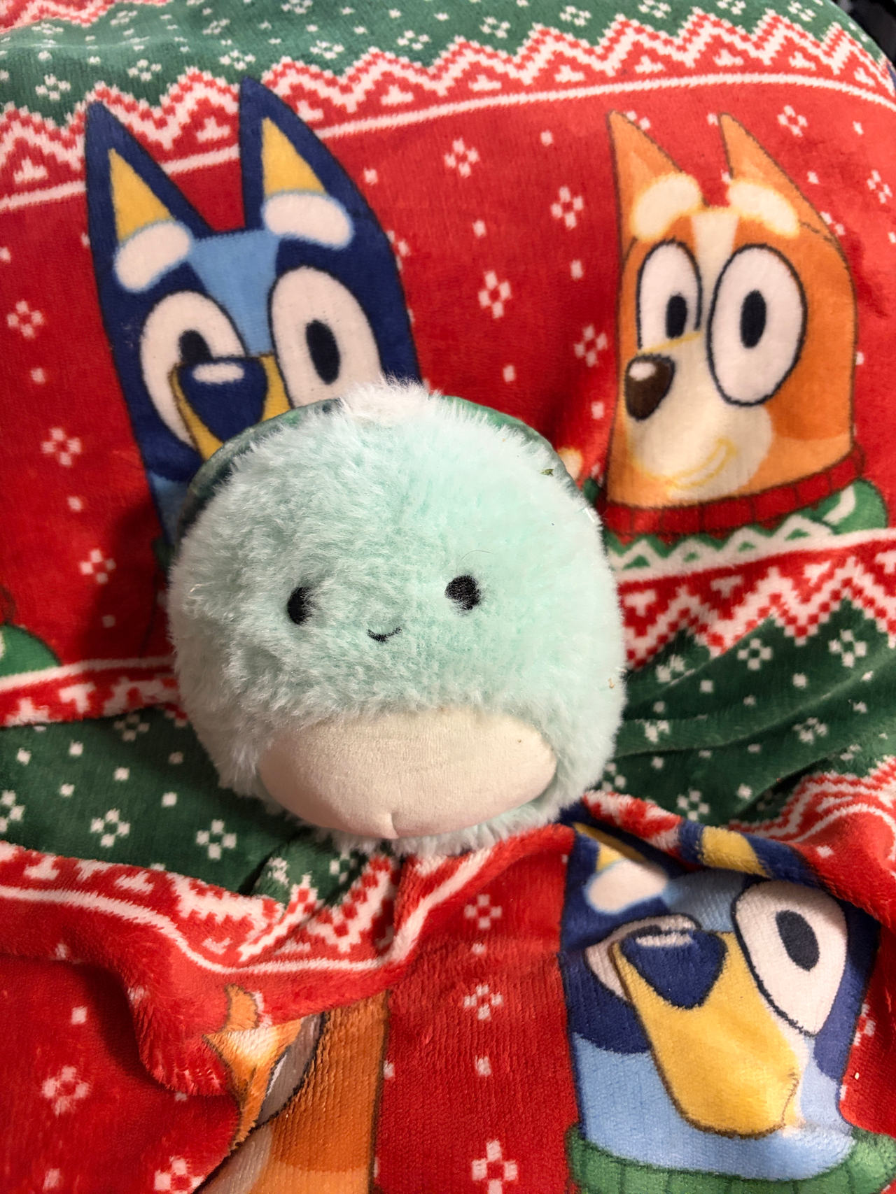 Squishmallows 5" Fuzzy Abe the Bearded Dragon
