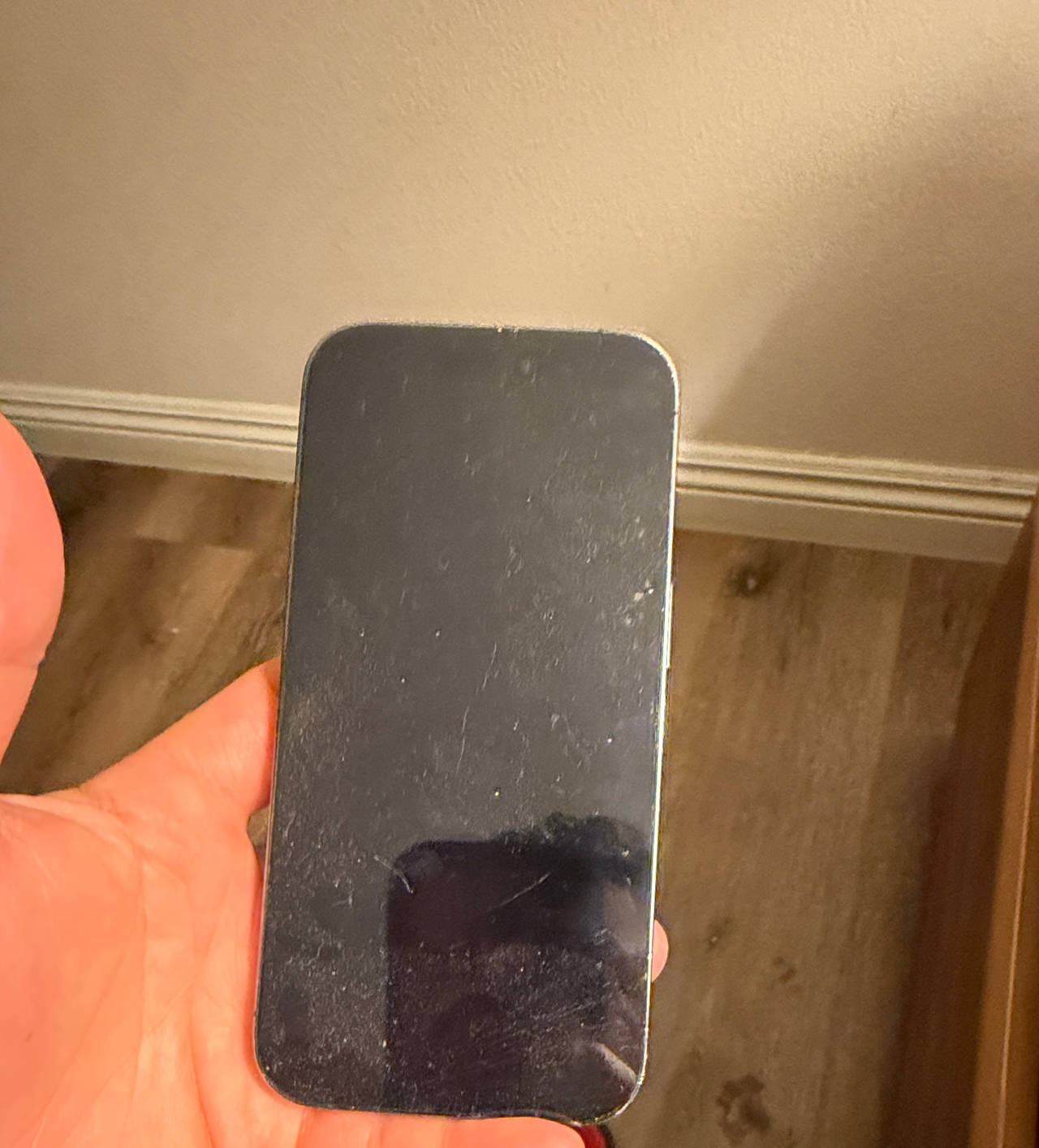 Apple iPhone 13
