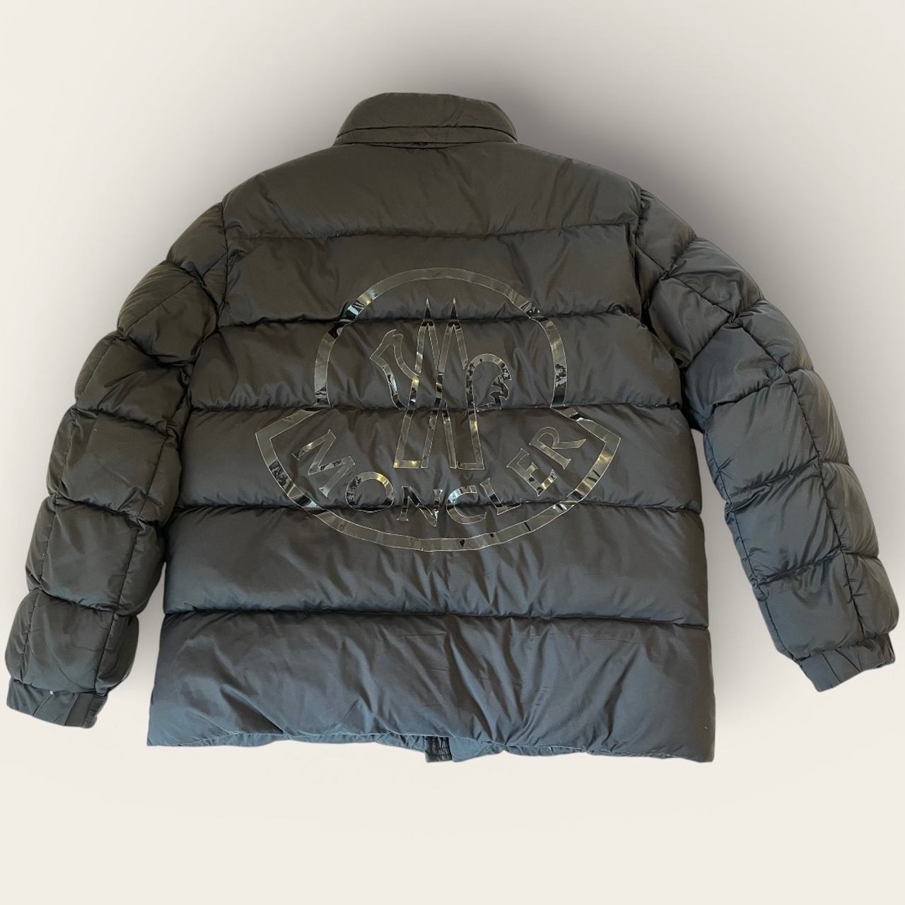 Moncler pallardy down jacket