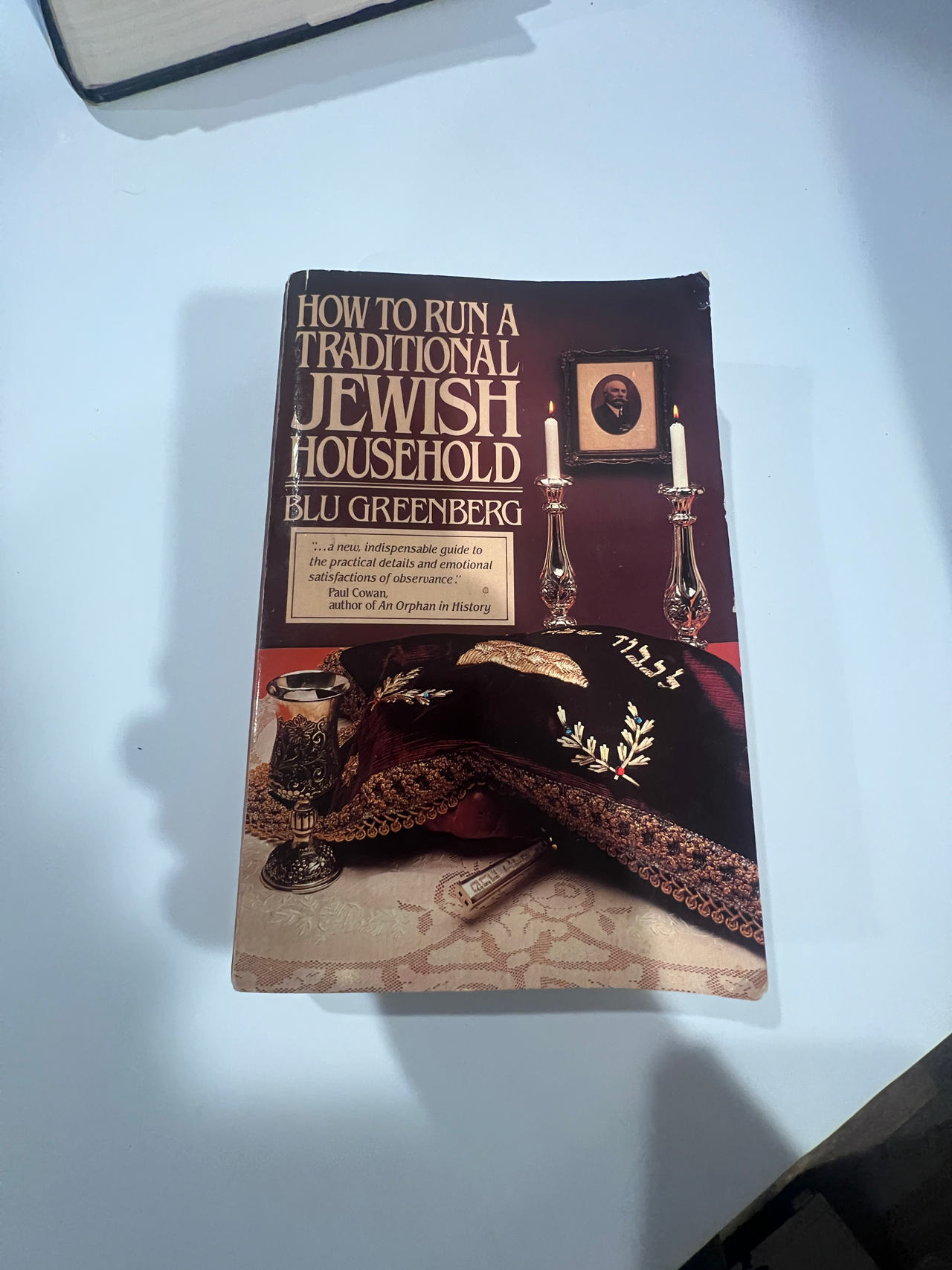 How to Run a Traditional Jewish Household by Blu Greenberg