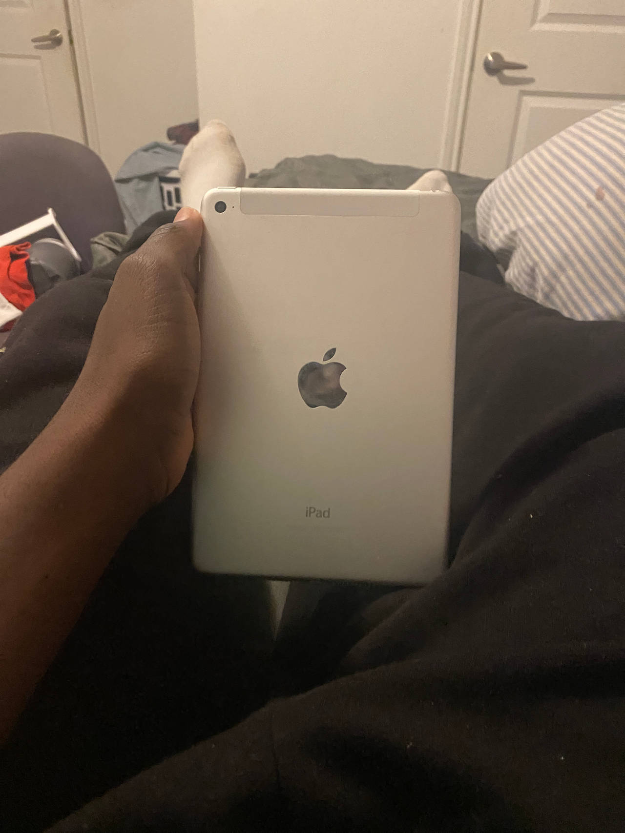 Apple iPad mini
