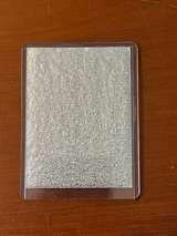 Magic: The Gathering Scrubland - Image 5
