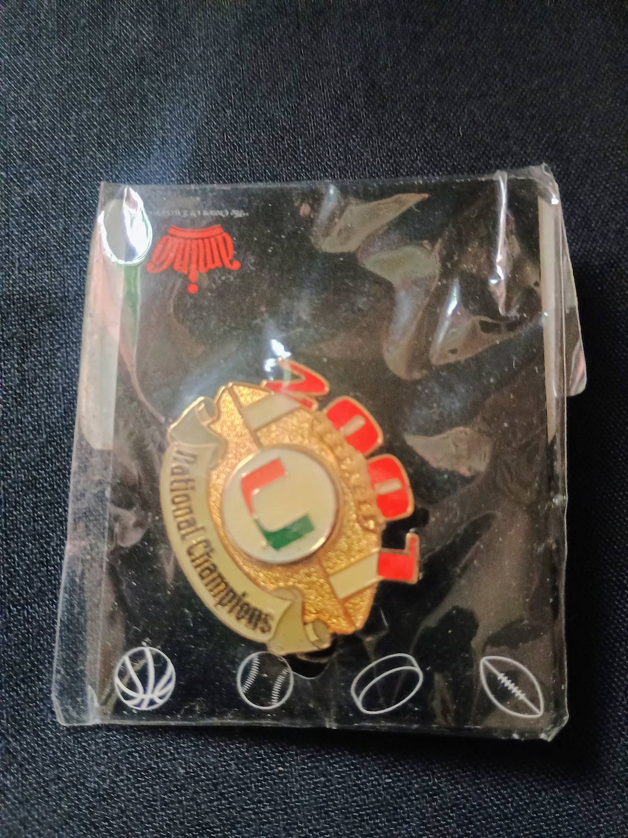 Aminco 2001 Miami Hurricanes National Champions Pin