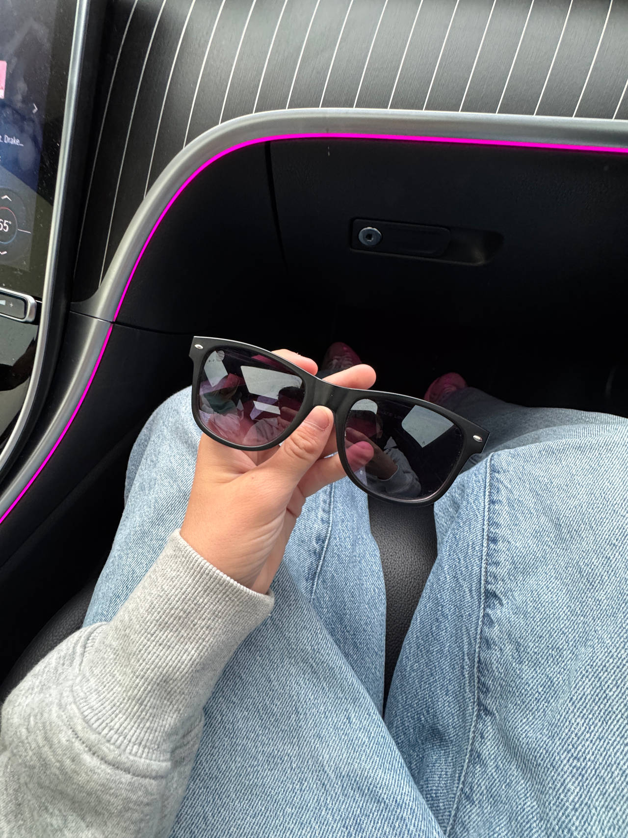 Wayfarer Style Sunglasses