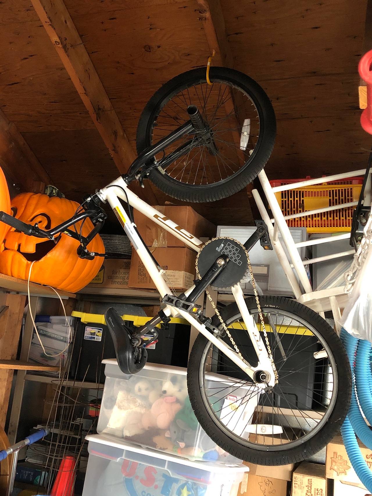 GT Performer BMX Bike