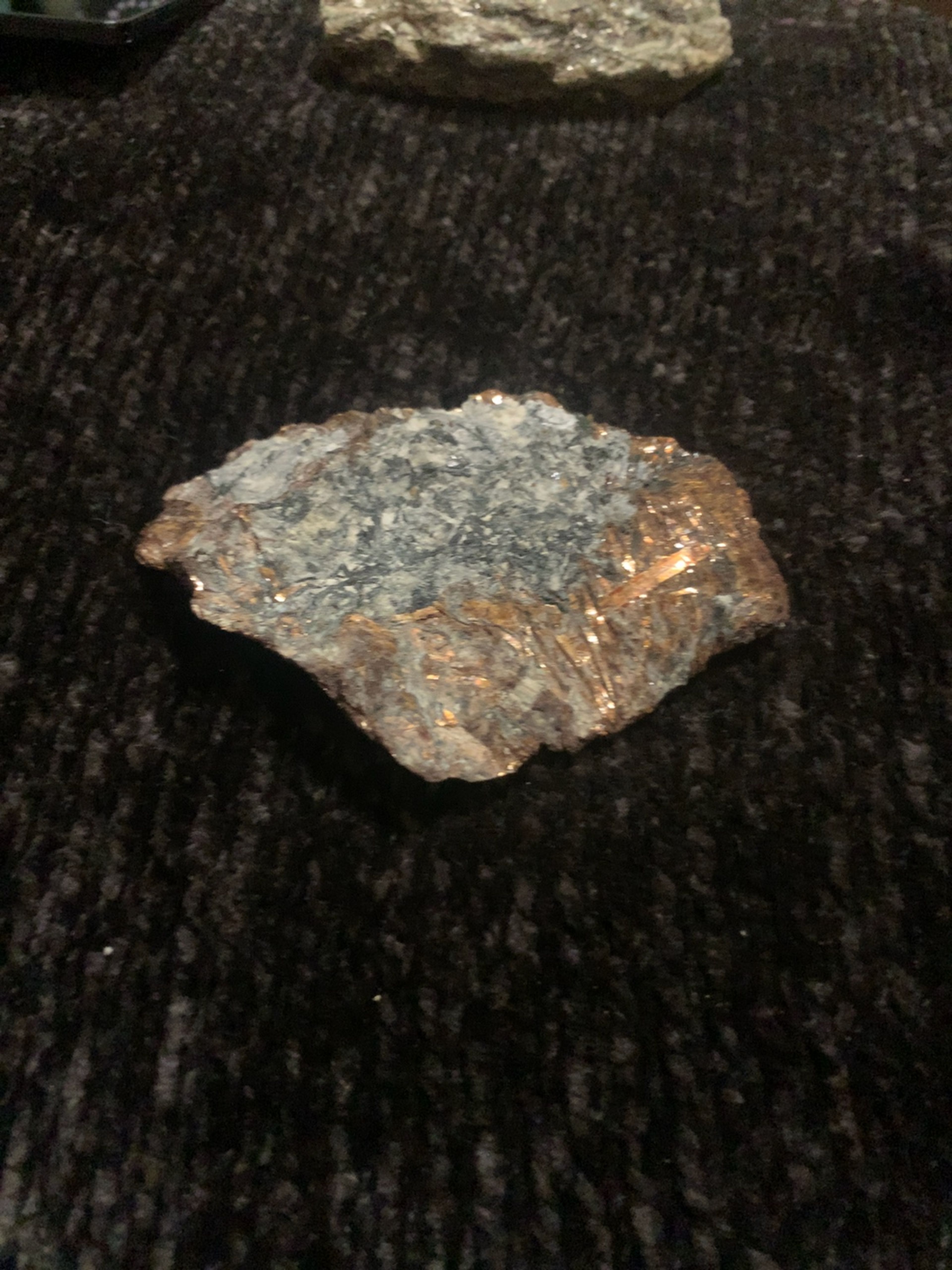 NWA 15971 Pallasite Meteorite Specimen