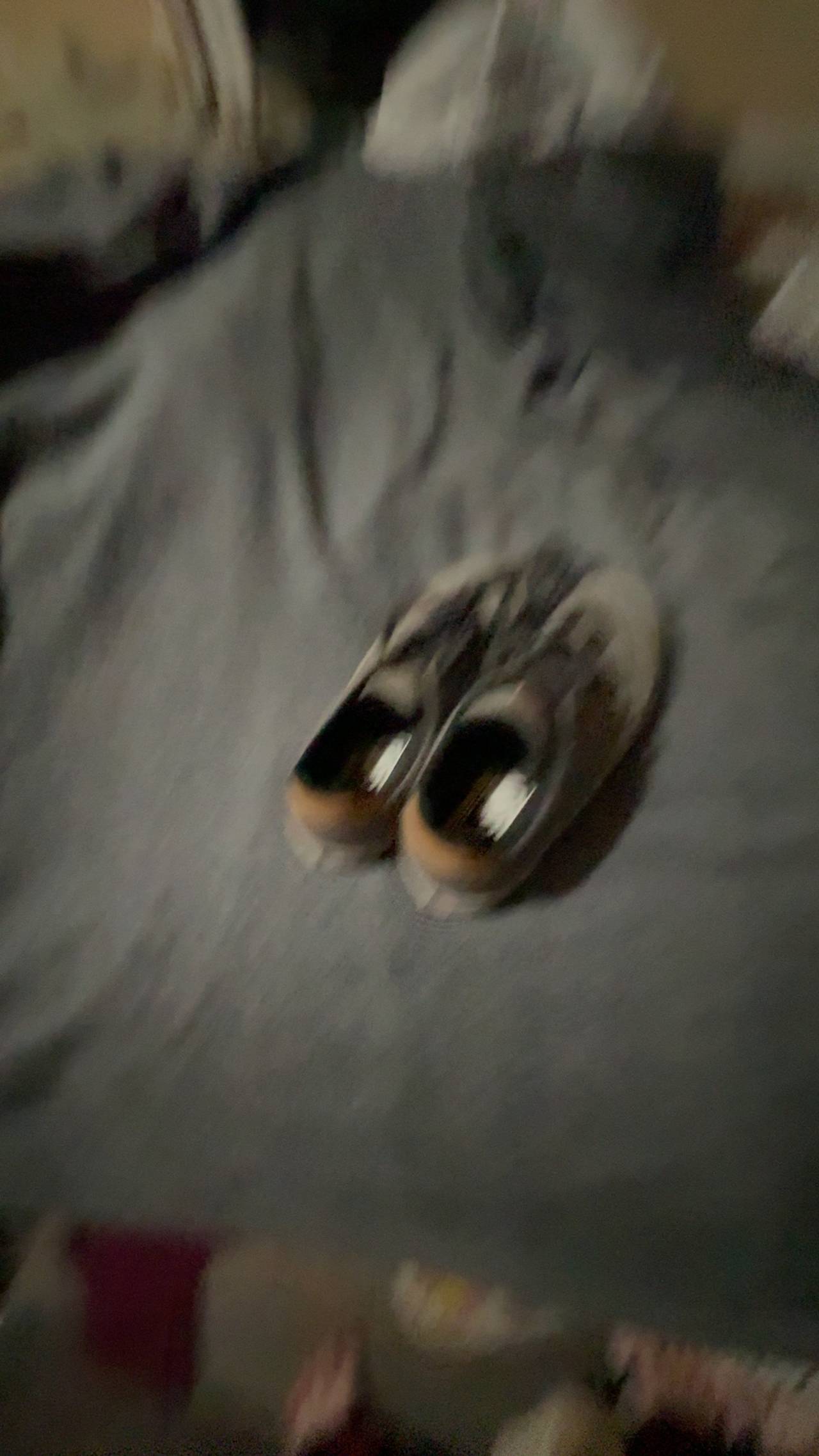 Vans Atwood Deluxe Comfort Black/Gray