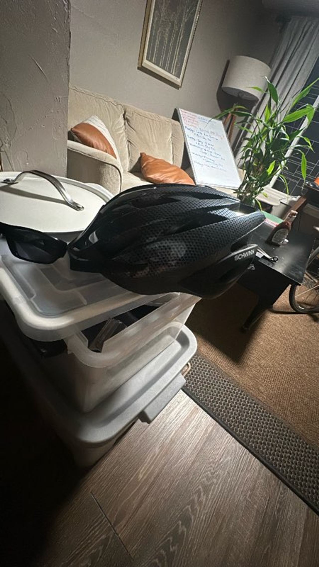 Schwinn Bicycle Helmet