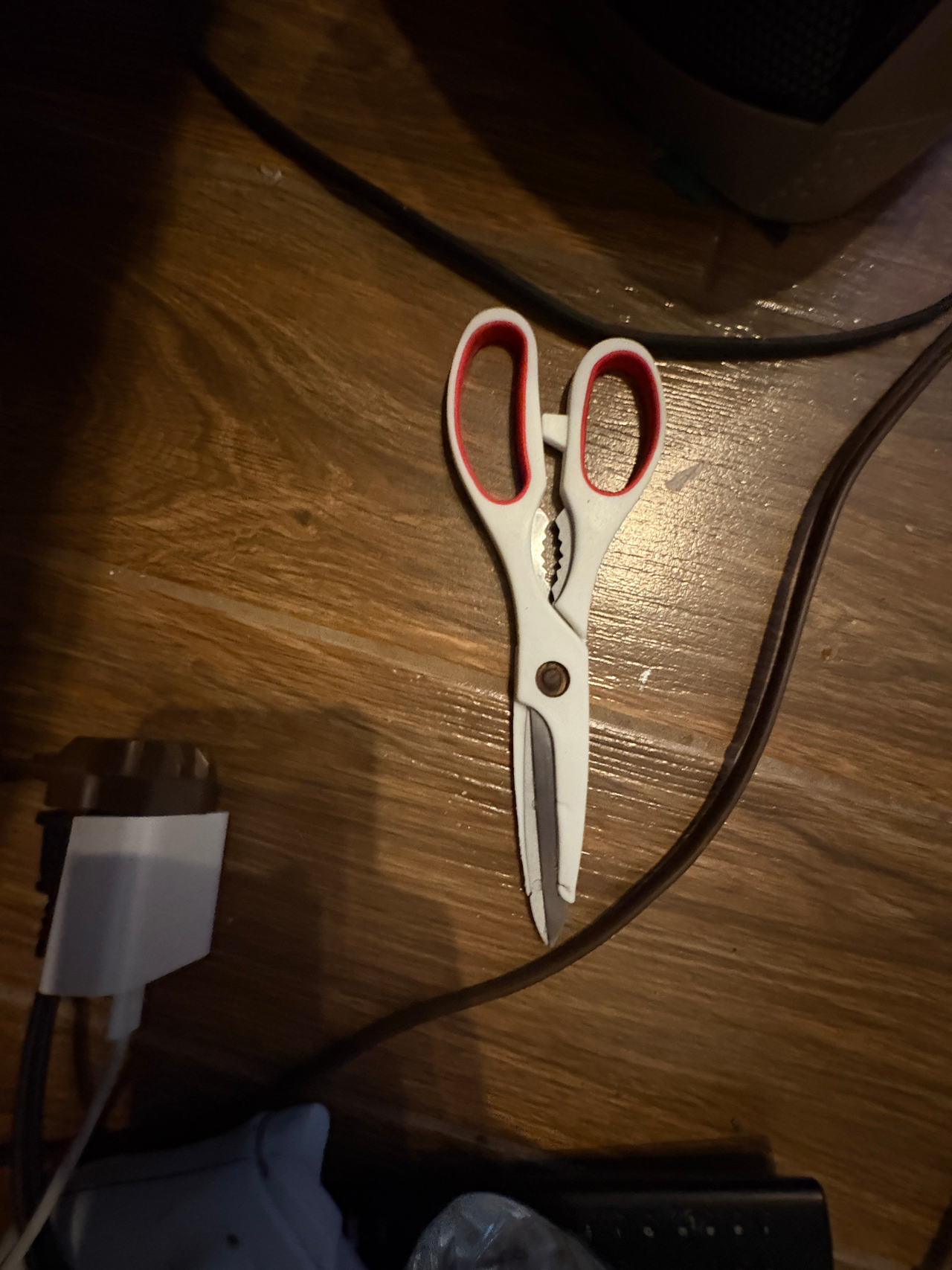 kitchen shears