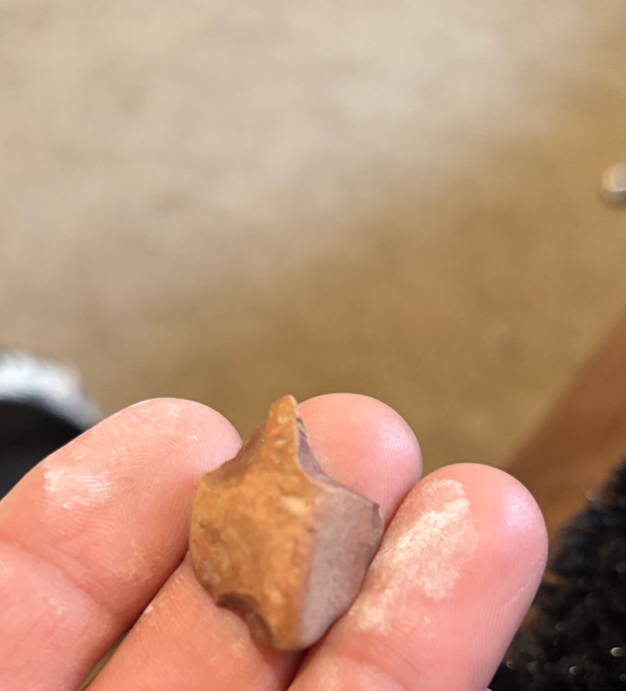 Native American Arrowhead Artifact