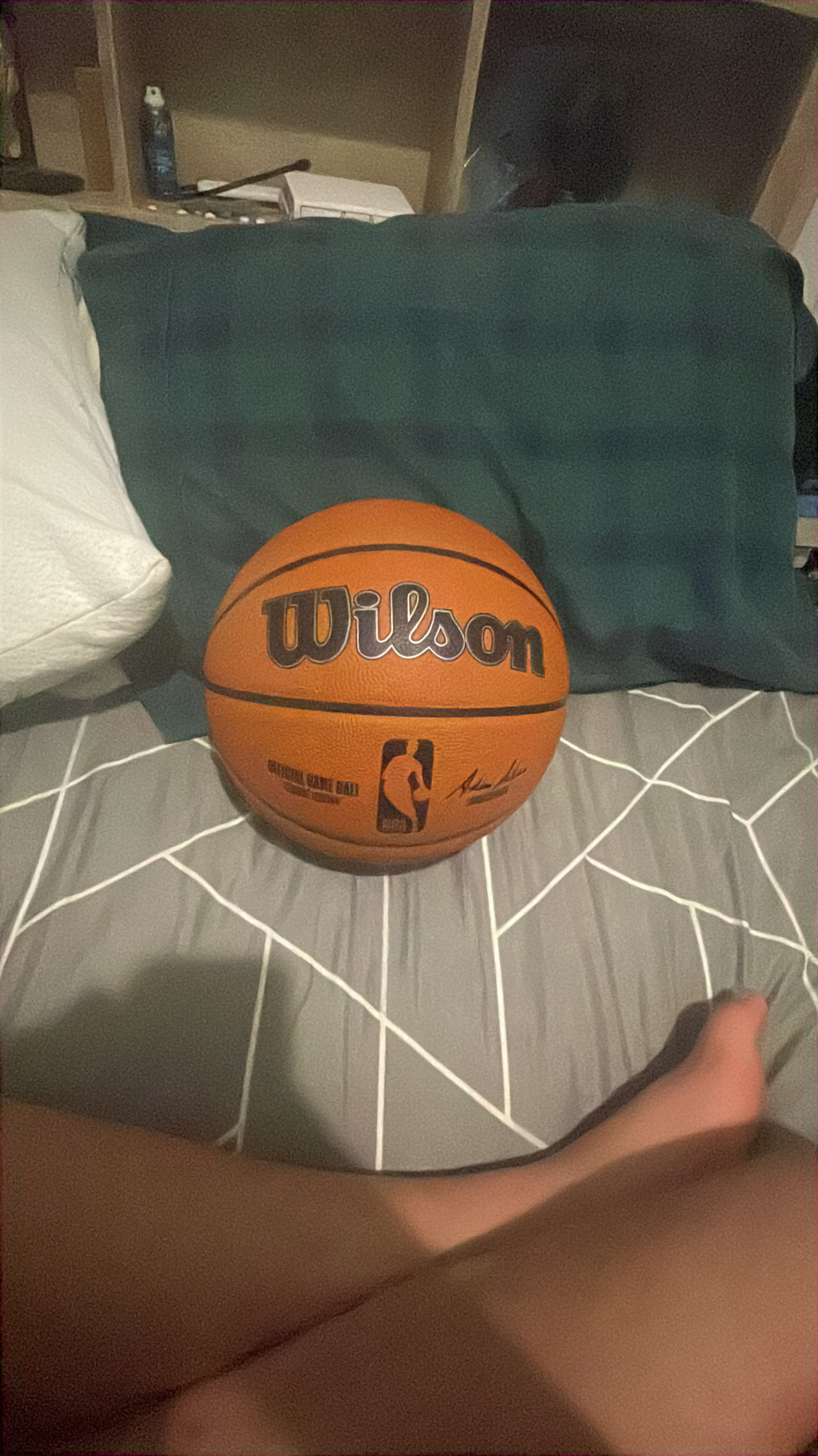Wilson NBA Official Game Ball