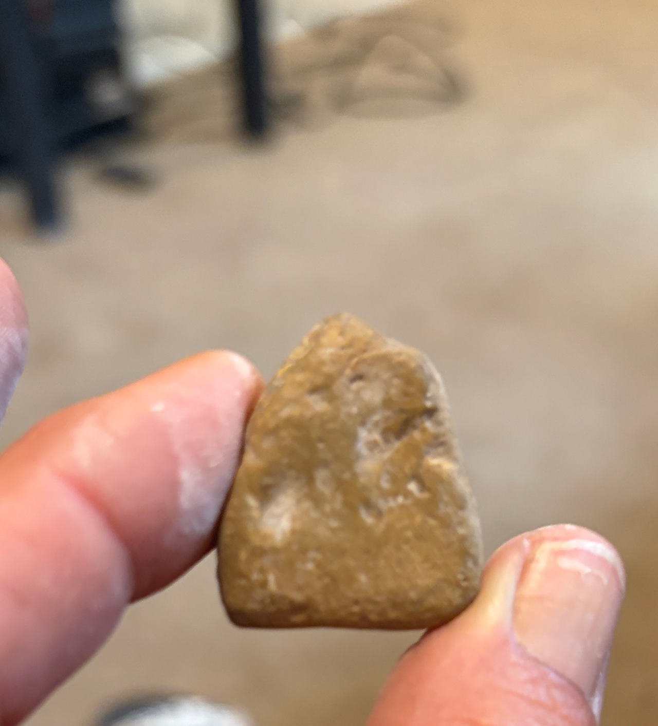 Stone Artifact or Pointed Rock