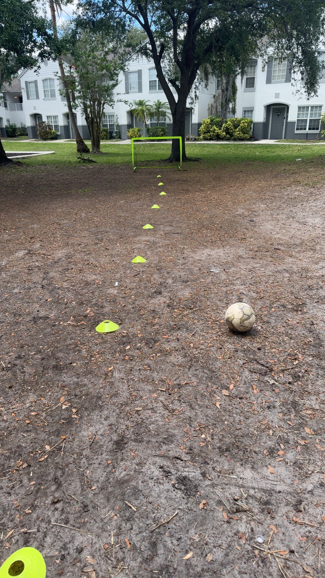 2x Soccer Goals with Training Cones