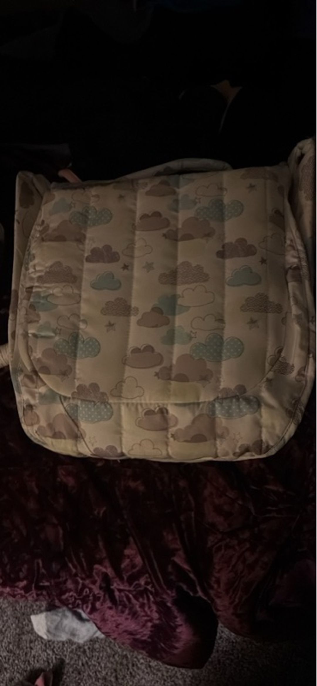 Baby Delight Co-Sleeper for Infants