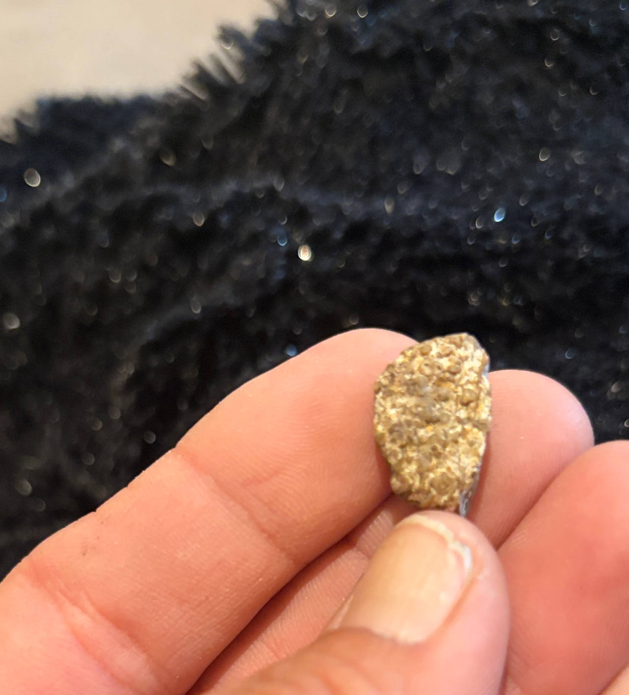 Stony-Iron Meteorite Fragment