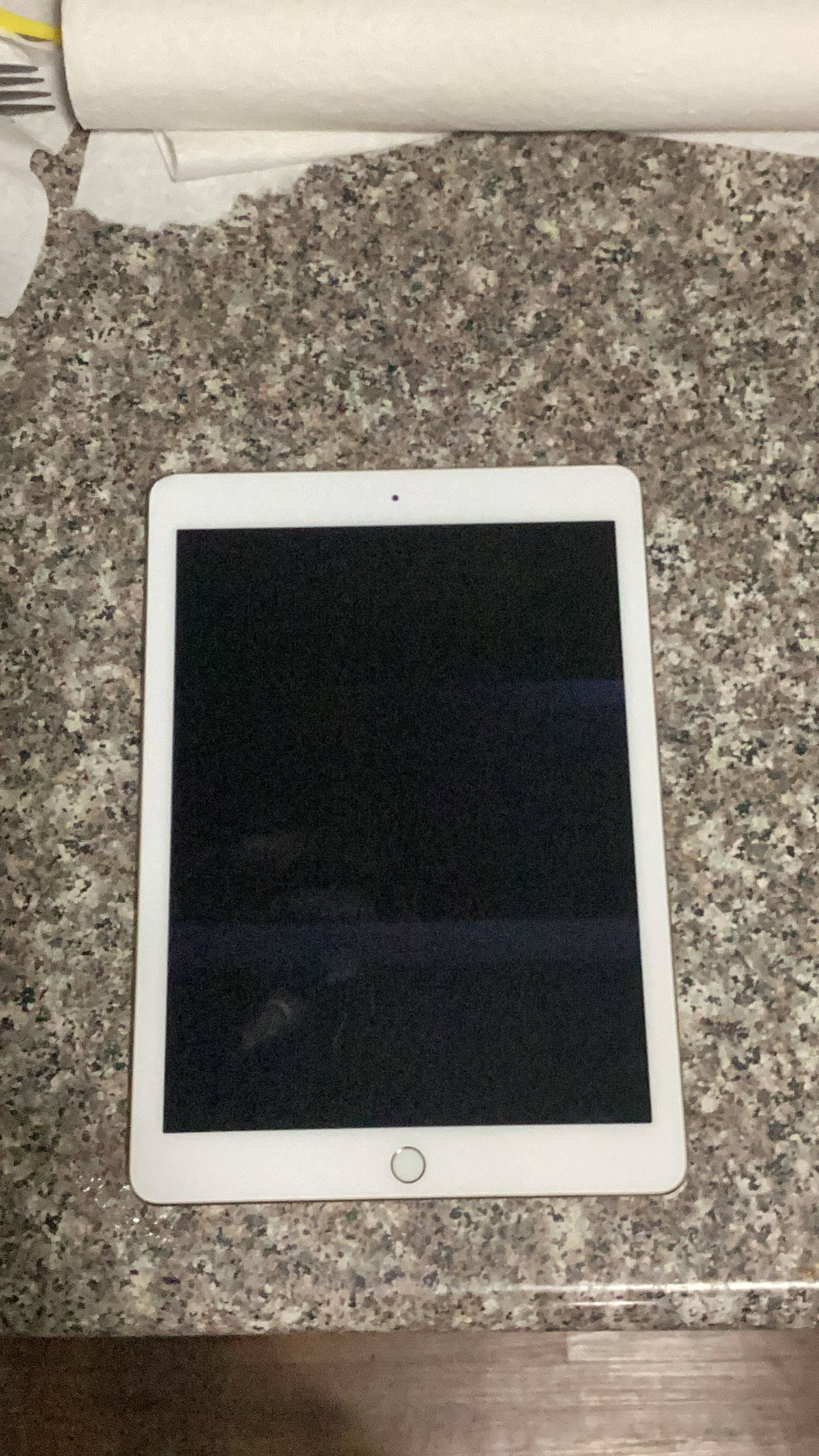 Apple iPad