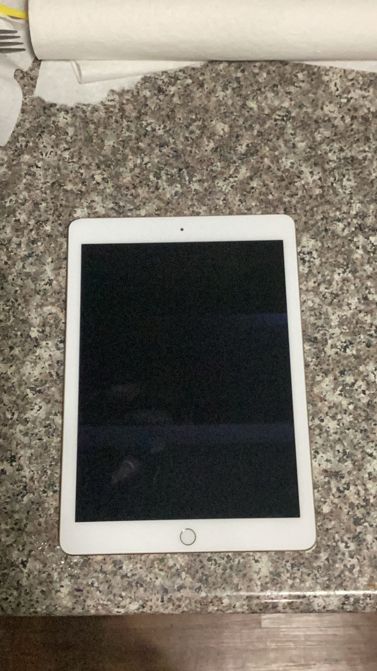 Apple iPad