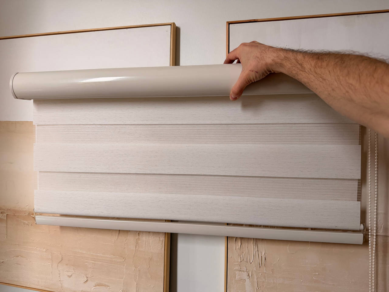 Zebra Dual Layer Roller Shade