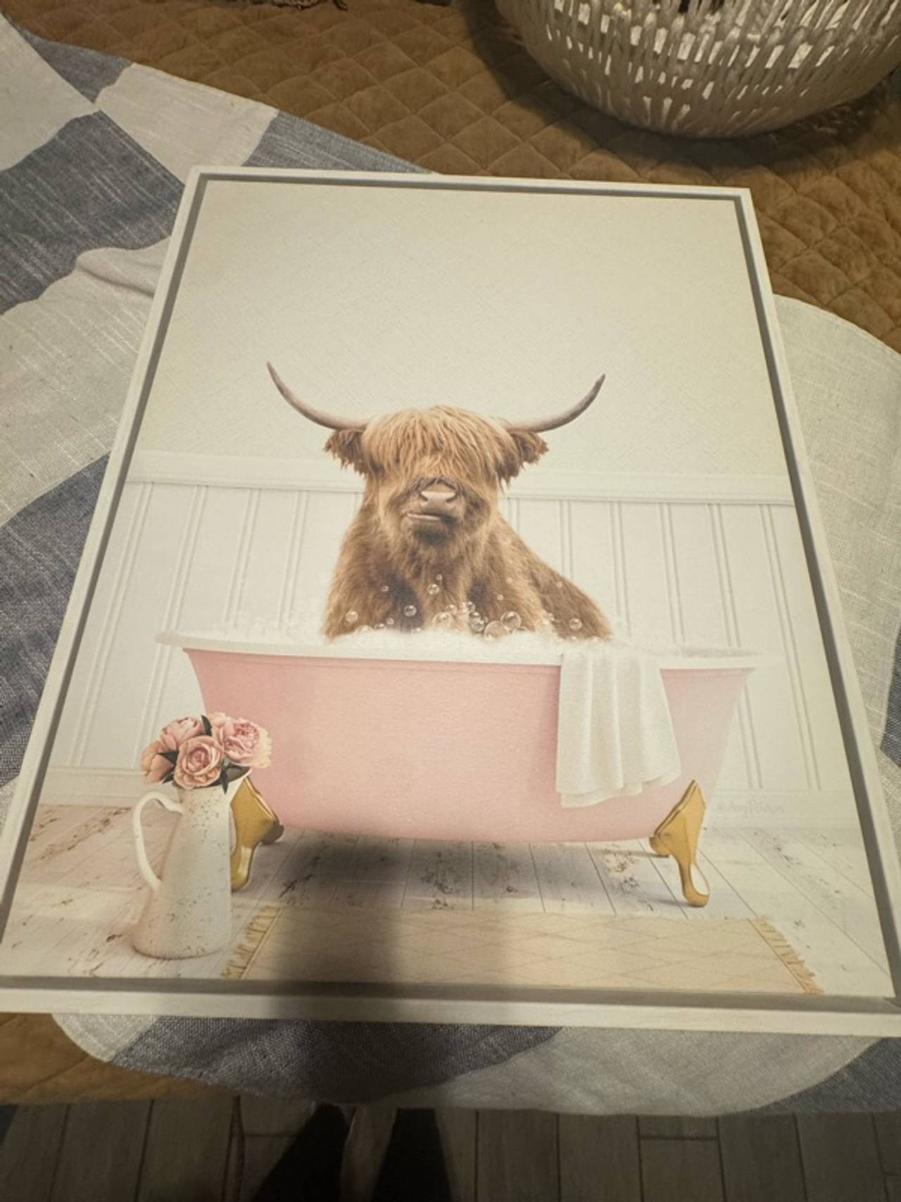 Highland Cow Framed Canvas
