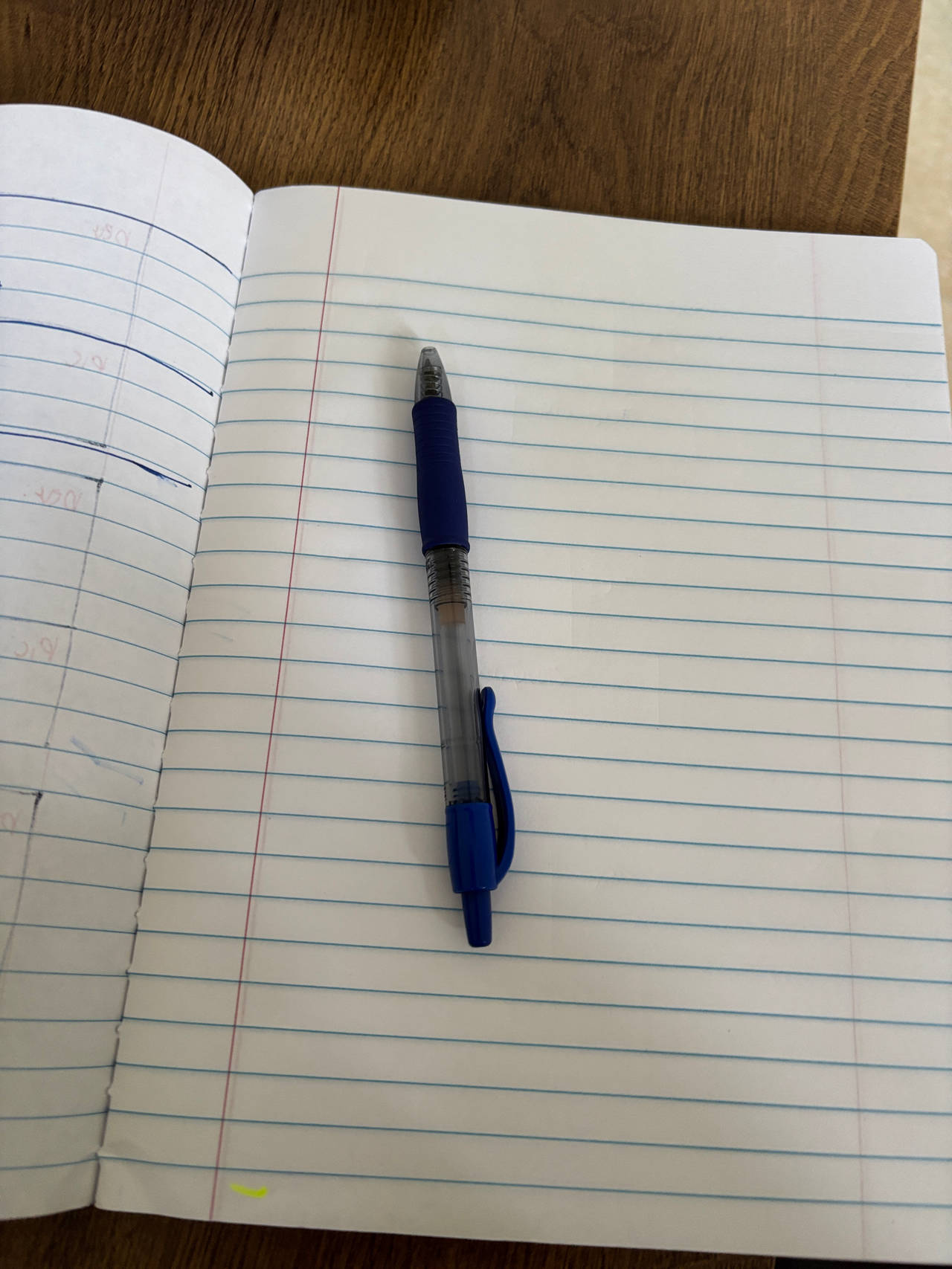 BIC Round Stic Xtra Life Ballpoint Pen