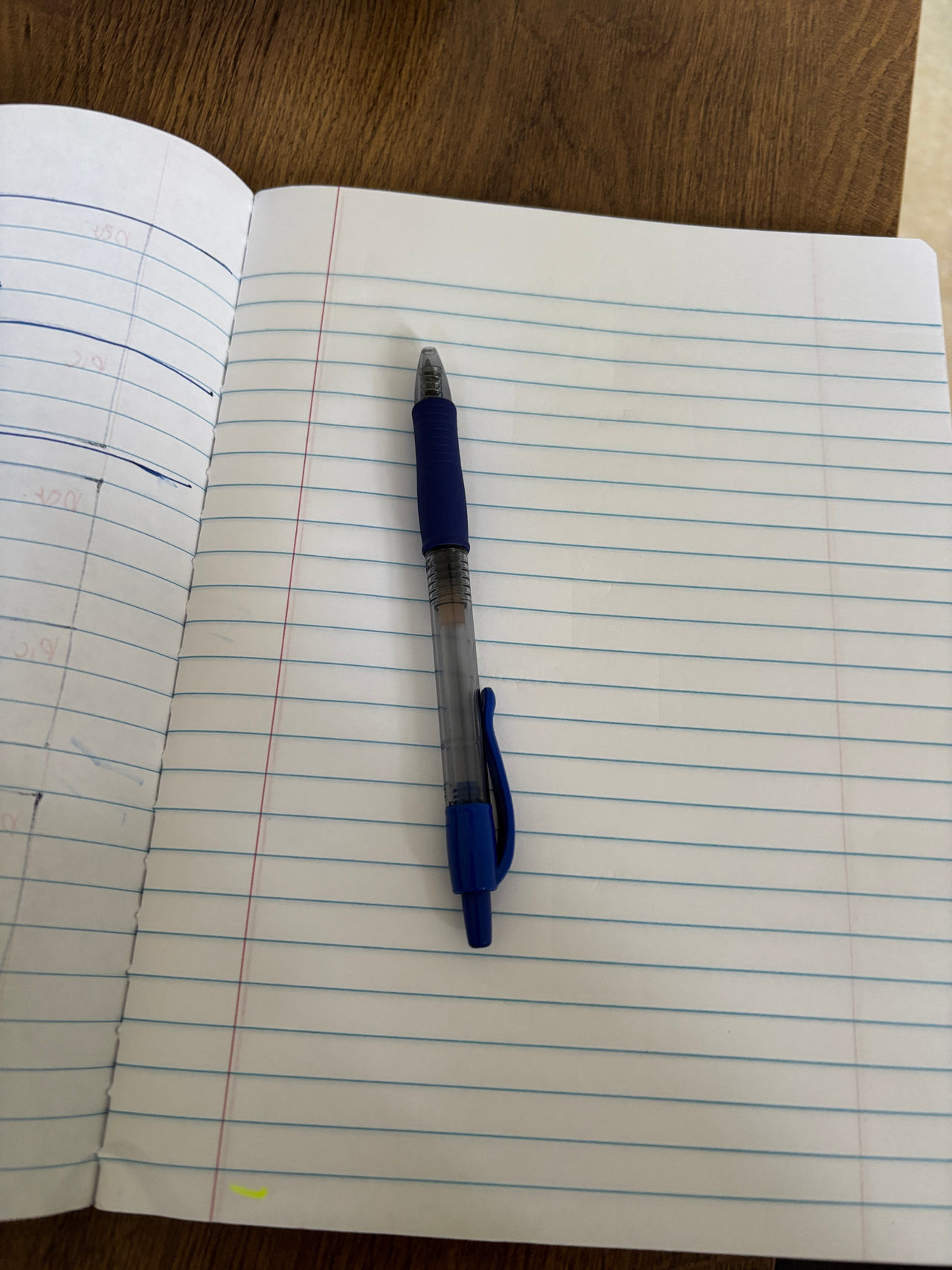 BIC Round Stic Xtra Life Ballpoint Pen