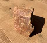 Petrified Wood Raw Specimen - Image 5